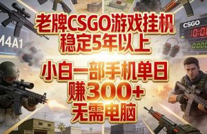 老牌CSGO游戏挂G,稳定5年以上,小白一部手机单日賺3张+,无需电脑【揭秘】-遨游资源库