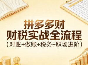 拼多多财税实战全流程（对账+做账+税务+职场进阶）-遨游资源库