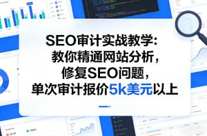 SEO审计实战教学:教你精通网站分析,修复SEO问题,单次审计报价5k美元以上-遨游资源库