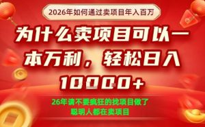 一单净利润1K+，26年想年入100个W，死磕卖项目就够了【揭秘】-遨游资源库
