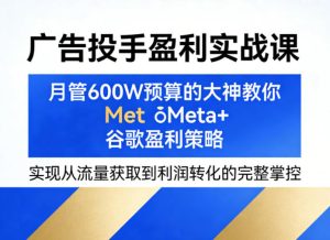 广告投手盈利实战课，月管600W预算的大神教你Meta+谷歌盈利策略，实现从流量获取到利润转化的完整掌控-遨游资源库