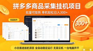 拼多多商品信息全自动采集项目，批量可矩阵，单机轻松日入300+，无需云机一台电脑开干【揭秘】-遨游资源库