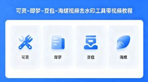 可灵–即梦–豆包–海螺视频去水印工具带视频教程-遨游资源库