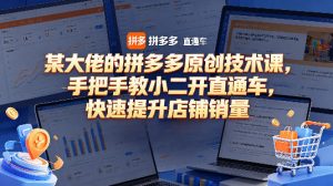 某大佬的拼多多原创技术课，手把手教小二开直通车，快速提升店铺销量-遨游资源库