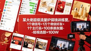 某大佬超级流量IP搞钱训练营，1个微信号+1万个微信好友+1个主打品+100条朋友圈-短视选题=100W-遨游资源库