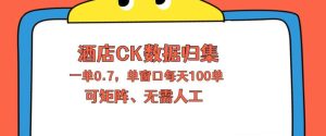 上班也能玩的酒店CK数据归集，一单0.7单窗口每天可做100单，一个人就能矩阵操作【揭秘】-遨游资源库