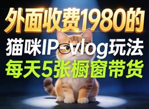 宠物赛道猫咪IP-vlog玩法，26条视频涨粉29W，每天5张橱窗带货拆解-遨游资源库