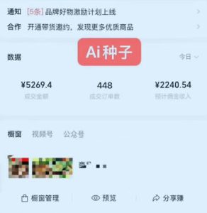 视频号AI种子带货，0粉0保证金就可做，人人能做，实操日入1k+-遨游资源库
