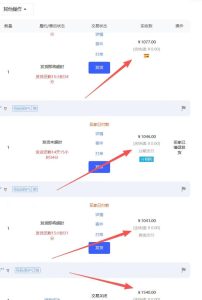 【超强副业】淘宝超高价女装项目：1单賺1k+，可工作室放大（共52节）-遨游资源库