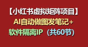 小红书虚拟矩阵项目：软件隔离IP+AI自动做图发笔记（共60节）-遨游资源库