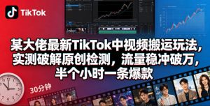 某大佬最新TikTok中视频搬运玩法，实测破解原创检测，流量稳冲破万，半个小时一条爆款-遨游资源库