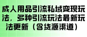 成人用品引流私域变现玩法,多种引流玩法最新玩法,操作简单(含货源渠道)-遨游资源库