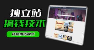 干货来袭!麦子甜带你吃透独立站|从搭建到引流一站式教学《独立站》第一期-遨游资源库