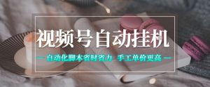 视频号自动挂G项目,自动化脚本省时省力,手工单价更高,日入300+全网最稳【揭秘】-遨游资源库