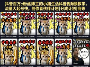 抖音百万粉丝博主的小猫生活科普视频教学,流量大起号快,创作者伙伴计划|分成计划|商单|收徒等-遨游资源库