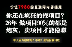 26年请不要疯狂的找项目了,卖项目远比你想象的暴利,你也可以月入10W+【揭秘】-遨游资源库