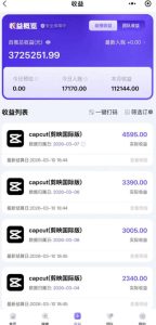 海外TikTok剪映cupcut拉新,市场广阔,潜力巨大,月入1w+,适合TK创作者的新机会-遨游资源库