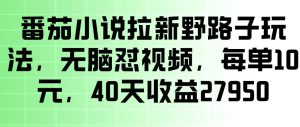 番茄小说拉新野路子玩法，无脑怼视频，玩法简单、见效快，每单10米，40天收益27950-遨游资源库