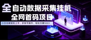 全自动数据采集挂G,全网首码项目,简单易操作,小白也能轻松上手,多账号操作,轻松日入500+【揭秘】-遨游资源库