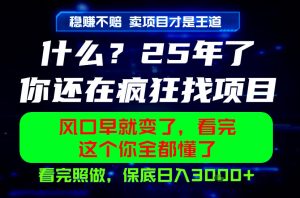 26年，请不要疯狂的找项目做了！卖项目才是真的稳賺不赔，看完照做，保底日入1k+【揭秘】-遨游资源库