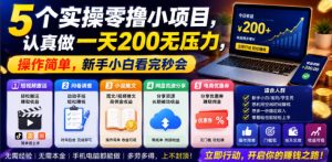 5个实操零撸小项目，认真做一天200无压力，操作简单，新手小白看完秒会【揭秘】-遨游资源库
