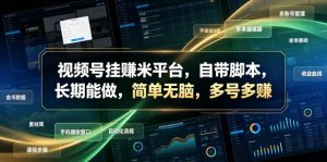 视频号挂賺米平台，自带脚本，长期能做，简单无脑，多号多賺【揭秘】-遨游资源库