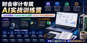 财会审计专属AI实战训练营｜AI协同编程+Python审计工具箱+Excel VBA加载项落地-遨游资源库