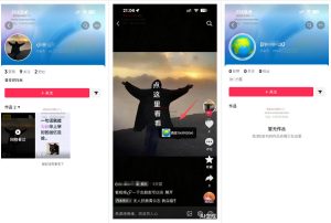 最强抖音引流-隐藏式暂停跳钩子，效果自测-遨游资源库