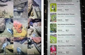 Tiktok中视频解说教程，体育+温情文案双赛道实操教程一站式带你落地，教你出海賺美刀-遨游资源库