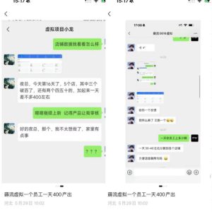 薅流虚拟2.0陪跑课，0成本AI流程化操作，淘宝+闲鱼同步玩法，上一次货两个平台有收益，单店每天200纯利润-遨游资源库