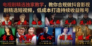 电视剧精选独家教学，教你合规做抖音影视剧精选短视频，低成本打造持续收益账号-遨游资源库