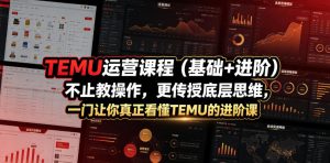 TEMU运营课程（基础+进阶），不止教操作，更传授底层思维，一门让你真正看懂TEMU的进阶课-遨游资源库