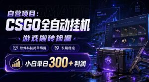 自营项目：CSGO全自动挂G，游戏搬砖捡漏，软件科技简单易用，长期稳定，小白单日300+利润【揭秘】-遨游资源库