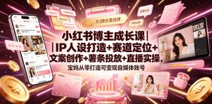 小红书博主成长课|IP人设打造+赛道定位+文案创作+薯条投放+直播实操,宝妈从零打造可变现自媒体账号-遨游资源库